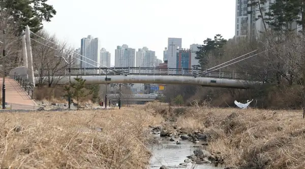 운중천의 평화로운 모습, 오른쪽에 백로, 물가에 오리들이 보인다.