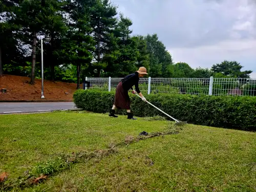 전원주택 전세에서는 결코 제대로된 '관리'를 할 수 없다. 사진은 잔디를 긁는 아내 모습.