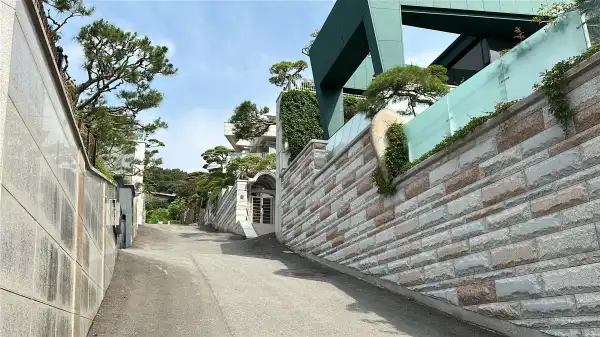 대형 평형의 주택들. 조경수만 봐도 마당 크기를 알 수 있다.