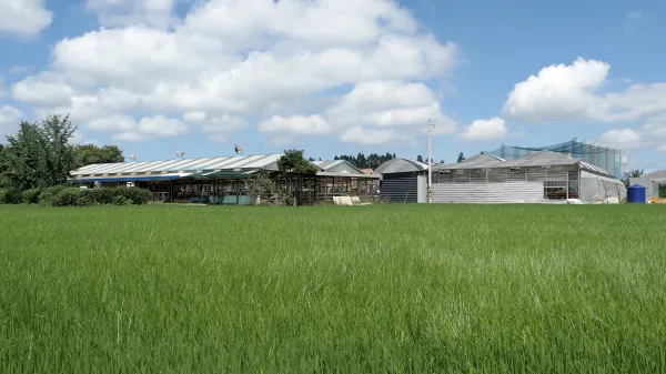 평화로운 농촌 전경. 사진의 축사는 단지와는 거리가 있다