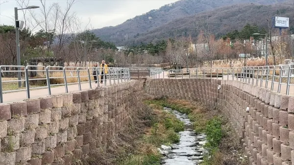 정돈된 부분의 녹지는 이미 훌륭한 수준이다
