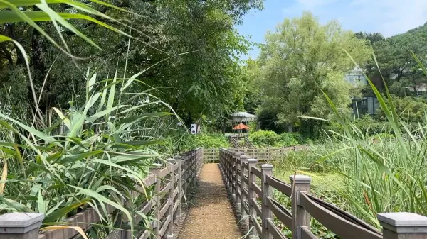 새단장 이전의 중앙 연못. 더 많은 곳들의 수시 관리가 필요하다